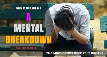 Recognizing Mental Breakdown Signs: When to Seek Professional Help