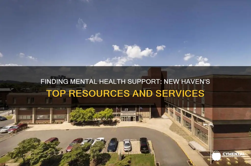 where can i get mental health help in new haven