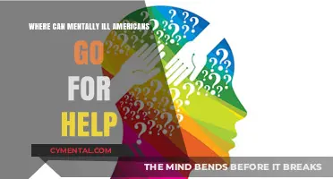 Finding Support: Mental Health Resources for Americans in Crisis