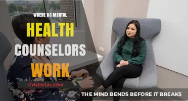 Exploring Diverse Work Settings for Mental Health Counselors