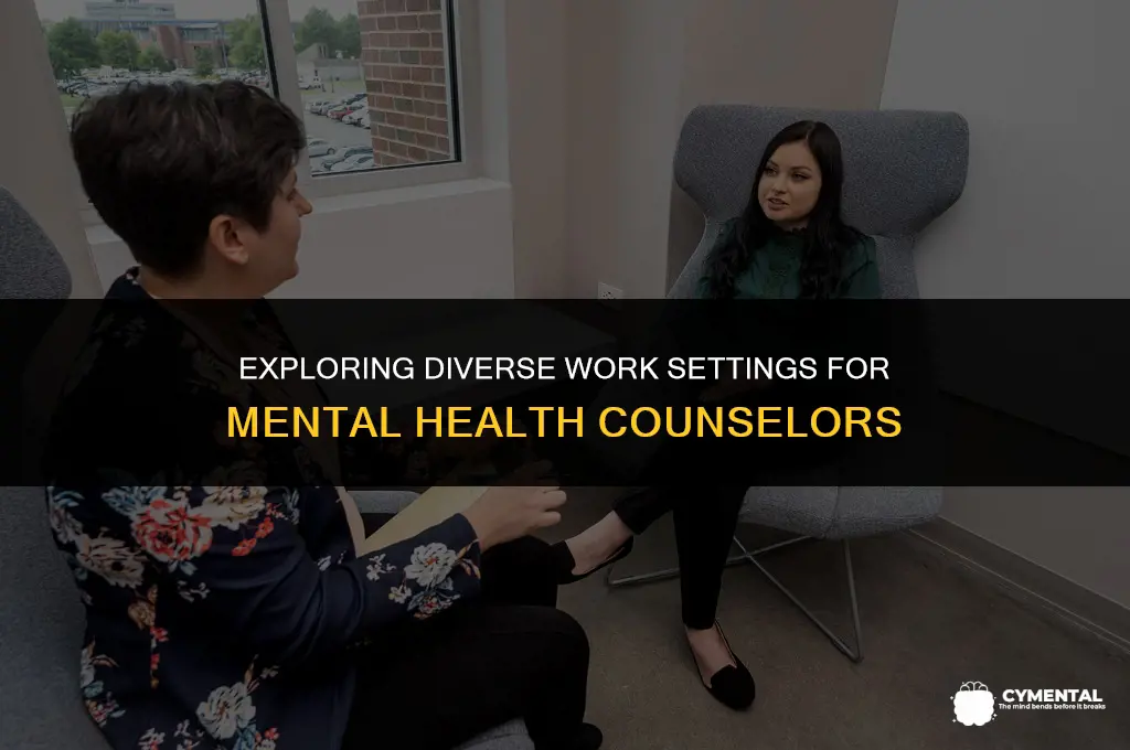 where do mental health counselors work