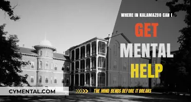 Finding Mental Health Support in Kalamazoo: Local Resources and Services