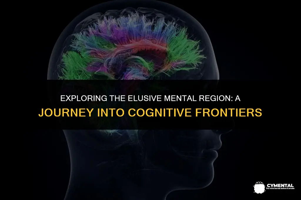 where is the mental region