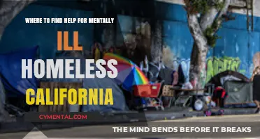 California Resources: Mental Health Support for Homeless Individuals in Crisis
