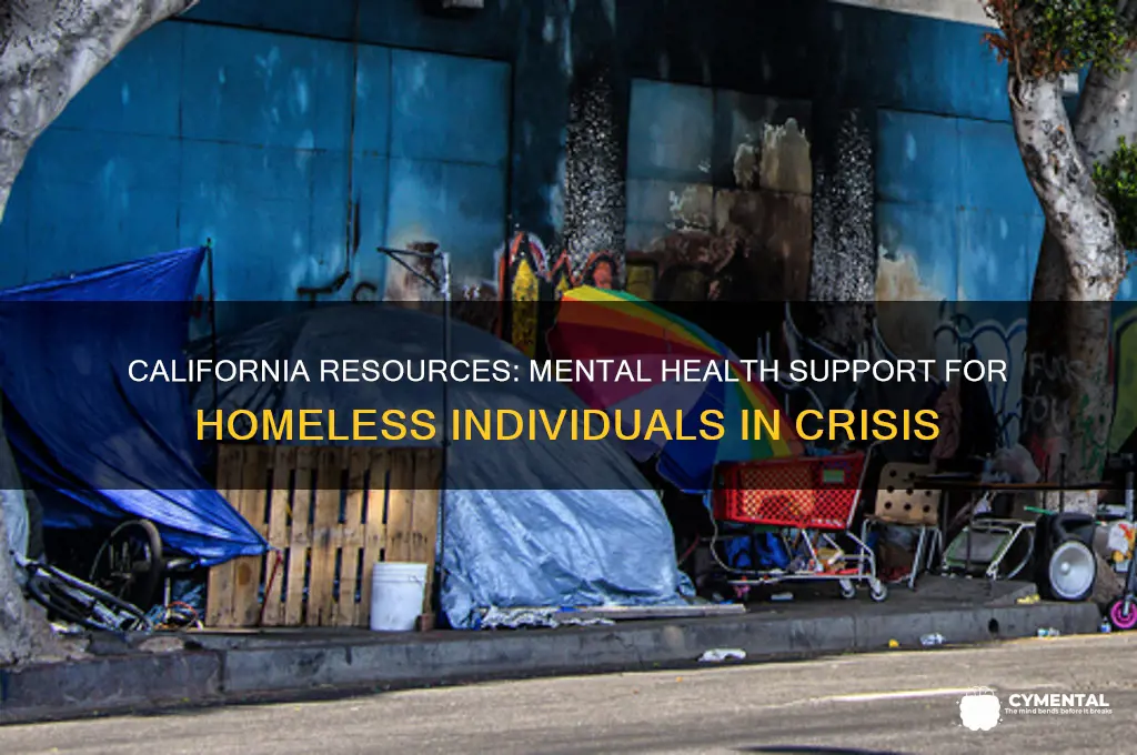 where to find help for mentally ill homeless california
