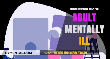 Finding Support: Resources for Adult Mental Health Assistance