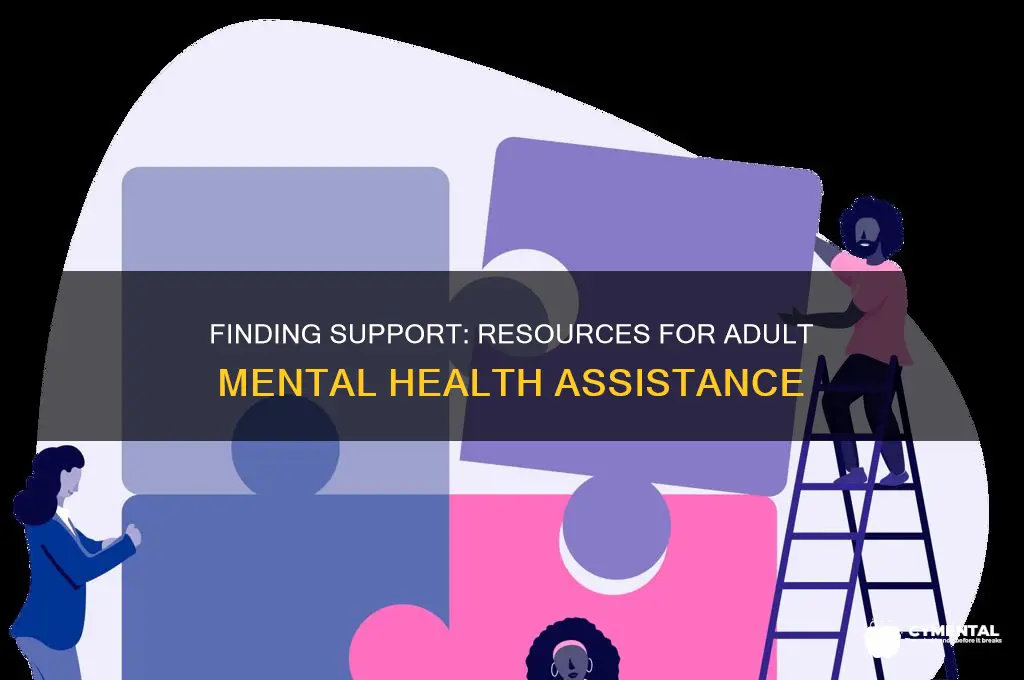 where to found help for adult mentally ill