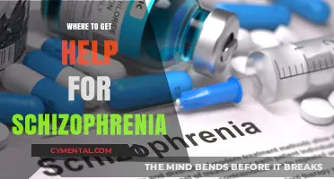 Finding Support: Where to Get Help for Schizophrenia Treatment