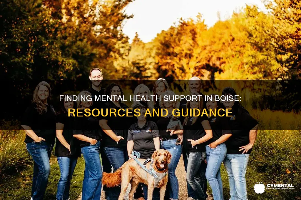 where to get mental health help in boise