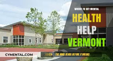 Finding Mental Health Support in Vermont: Resources and Guidance