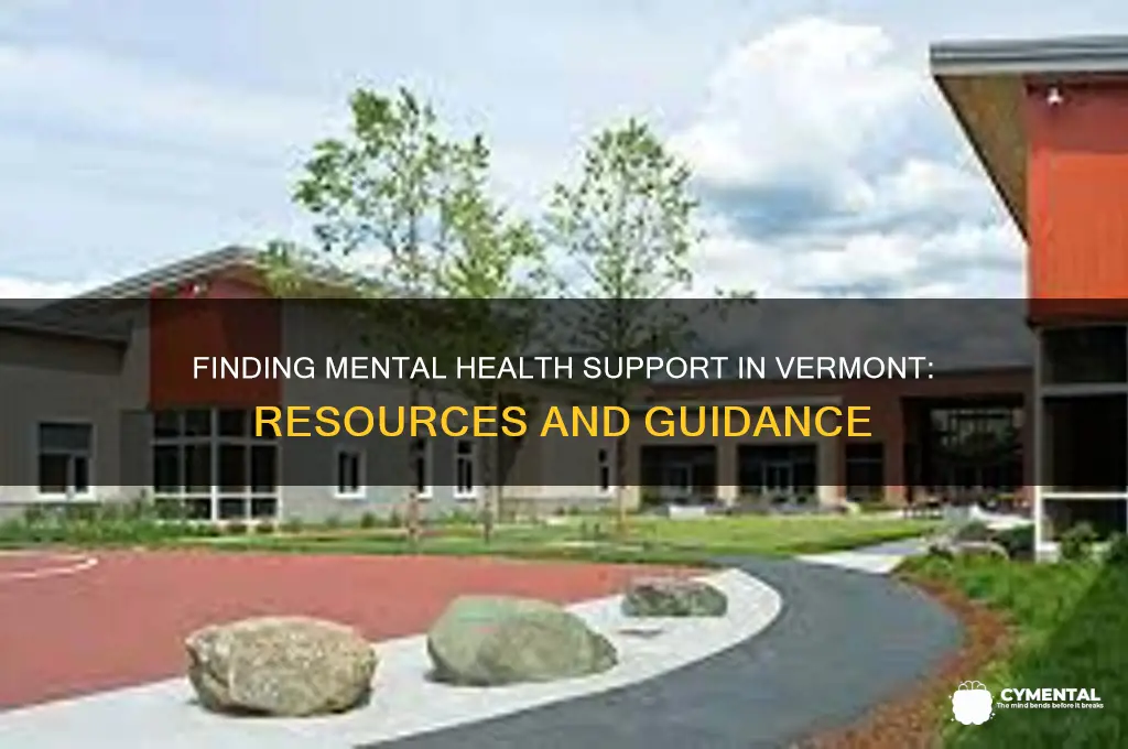 where to get mental health help vermont