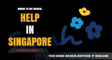 Finding Mental Health Support: Singapore's Top Resources and Services