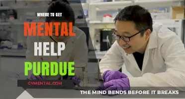 Finding Mental Health Support at Purdue: Resources and Guidance