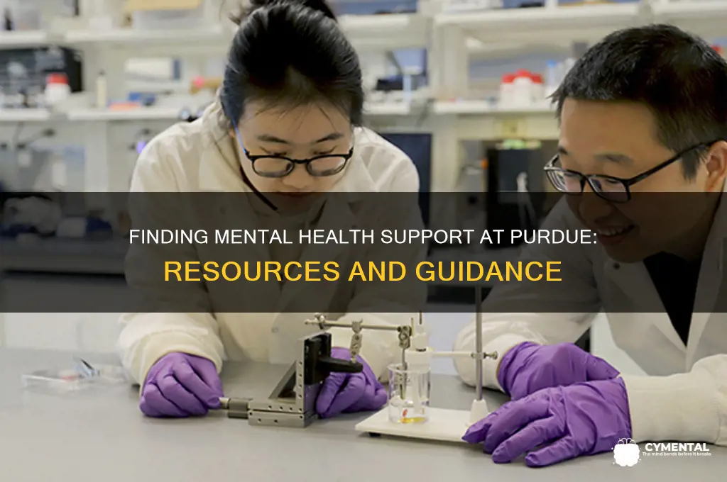 where to get mental help purdue