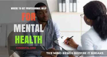 Finding Support: Where to Access Professional Mental Health Services