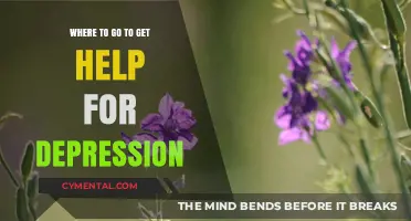 Finding Hope: Where to Turn for Depression Support and Healing