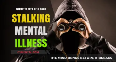 Seeking Support: Navigating Gang Stalking Paranoia and Mental Health Resources