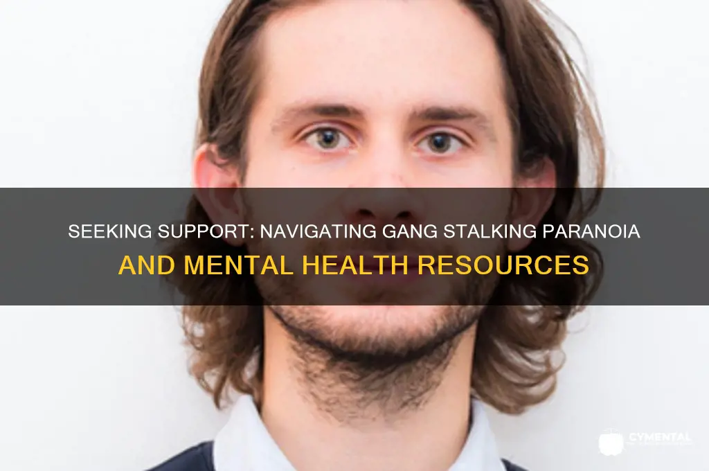 where to seek help gang stalking mental illness