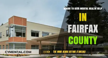 Fairfax County Mental Health Resources: Where to Find Support and Care