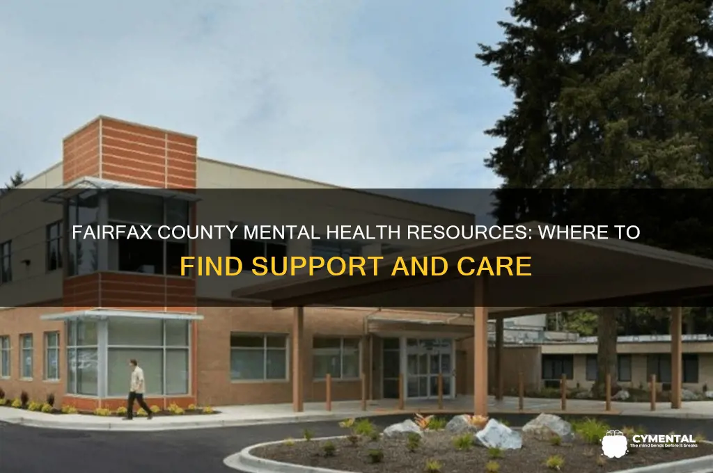 where to seek mental health help in fairfax county