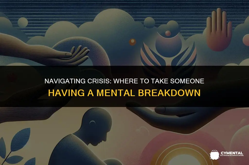 where to take someone having a mental breakdown