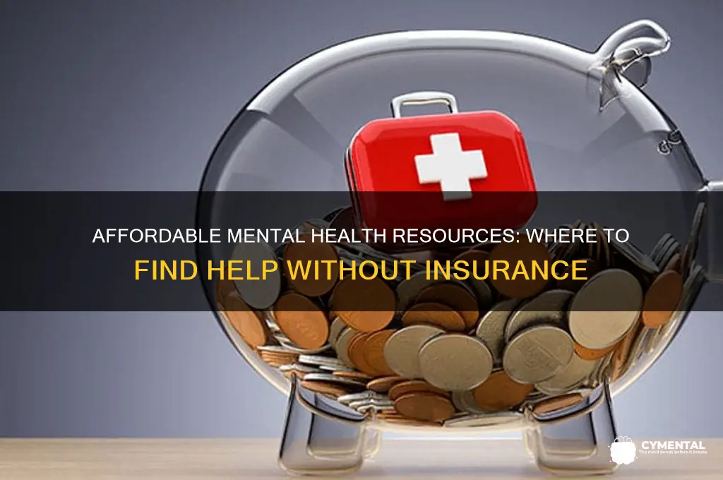 where vani gofor mental health help without insurance