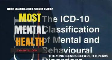Exploring the Most Widely Used Classification Systems in Mental Health