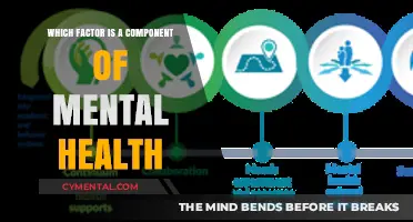 Exploring the Multifaceted Nature of Mental Health: Key Components Revealed