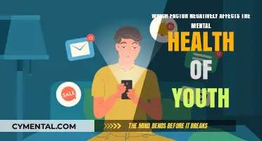 Exploring the Dark Side: Factors Undermining Youth Mental Health