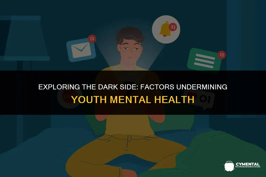 which factor negatively affects the mental health of youth