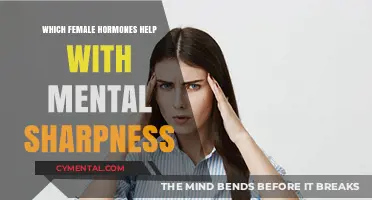 Boosting Mental Sharpness: Key Female Hormones and Their Cognitive Benefits