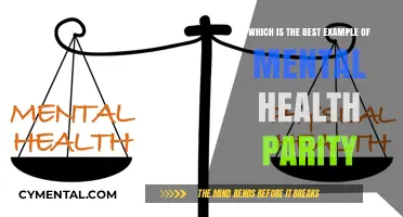 Achieving Mental Health Parity: A Comprehensive Guide to Equal Care