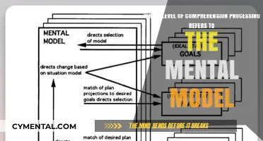 Understanding Mental Models: A Deep Dive into Higher-Level Comprehension