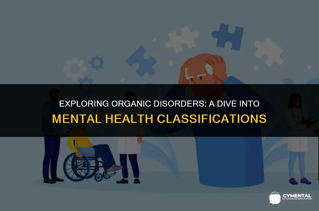 which mental health disorder is classified as an organic disorder