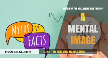 Exploring the Depths of Mental Imagery: Truths and Myths Unveiled