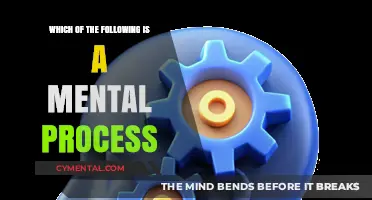 Exploring the Depths of Cognition: What Qualifies as a Mental Process?