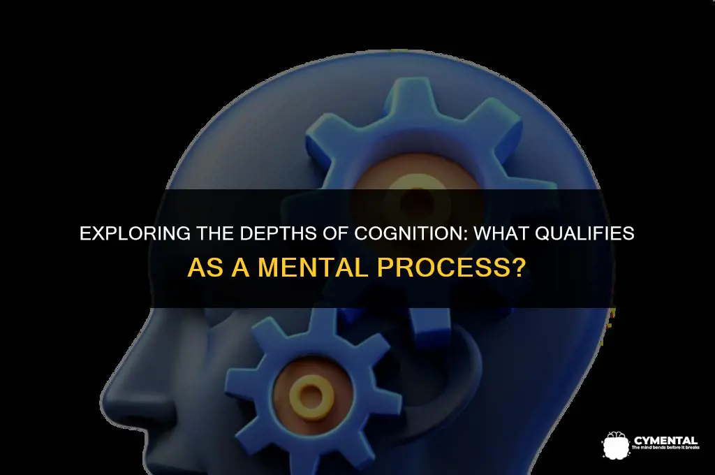 which of the following is a mental process