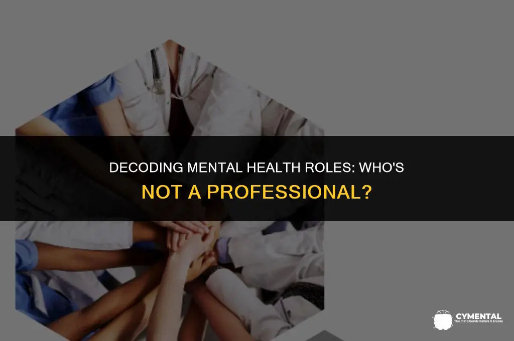 which of the following is not a mental health professional