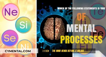 Exploring Mental Processes: Unveiling the Truth Behind Cognitive Functions