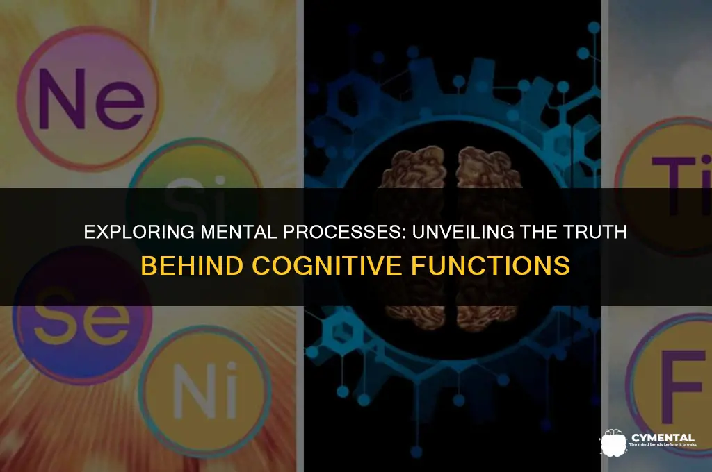 which of the following statements is true of mental processes