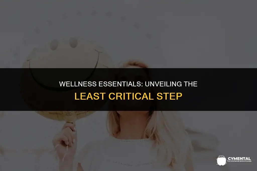 which of the steps below is not important for wellness
