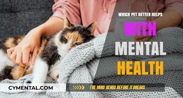 Pets and Mental Health: Which Companion Offers the Most Support?