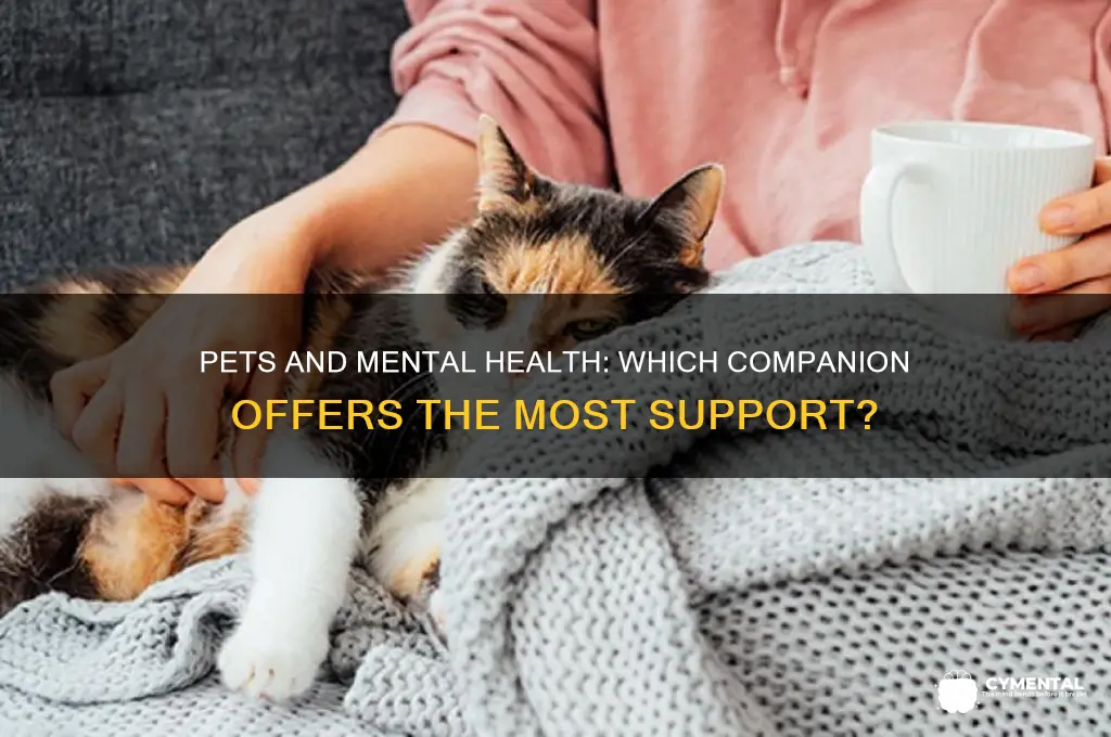 which pet better helps with mental health