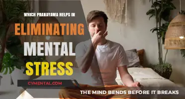 Breathe Away Stress: Pranayama Techniques for Mental Calmness and Clarity
