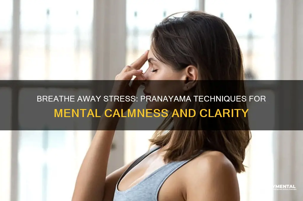 which pranayama helps in eliminating mental stress