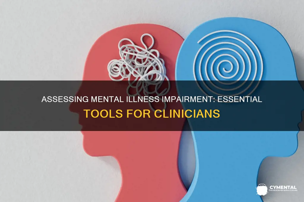 which tool helps the clinician determine impairment from mental illness