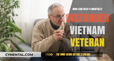 Supporting Vietnam Veterans: Finding Help for Mental Health Struggles