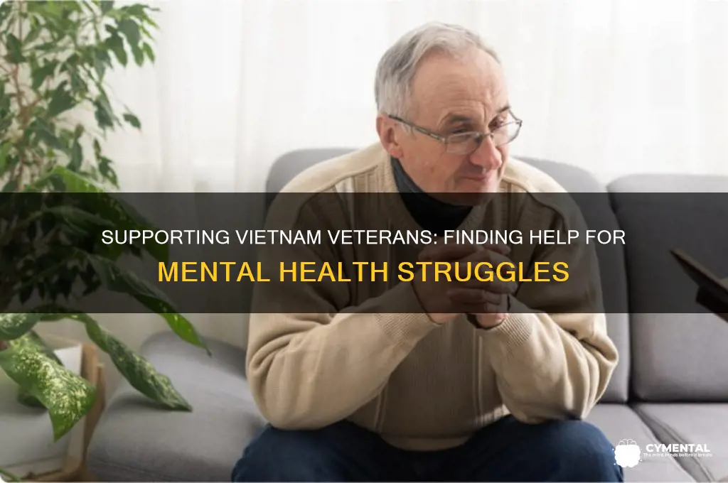 who can help a mentally disturbed vietnam veteran