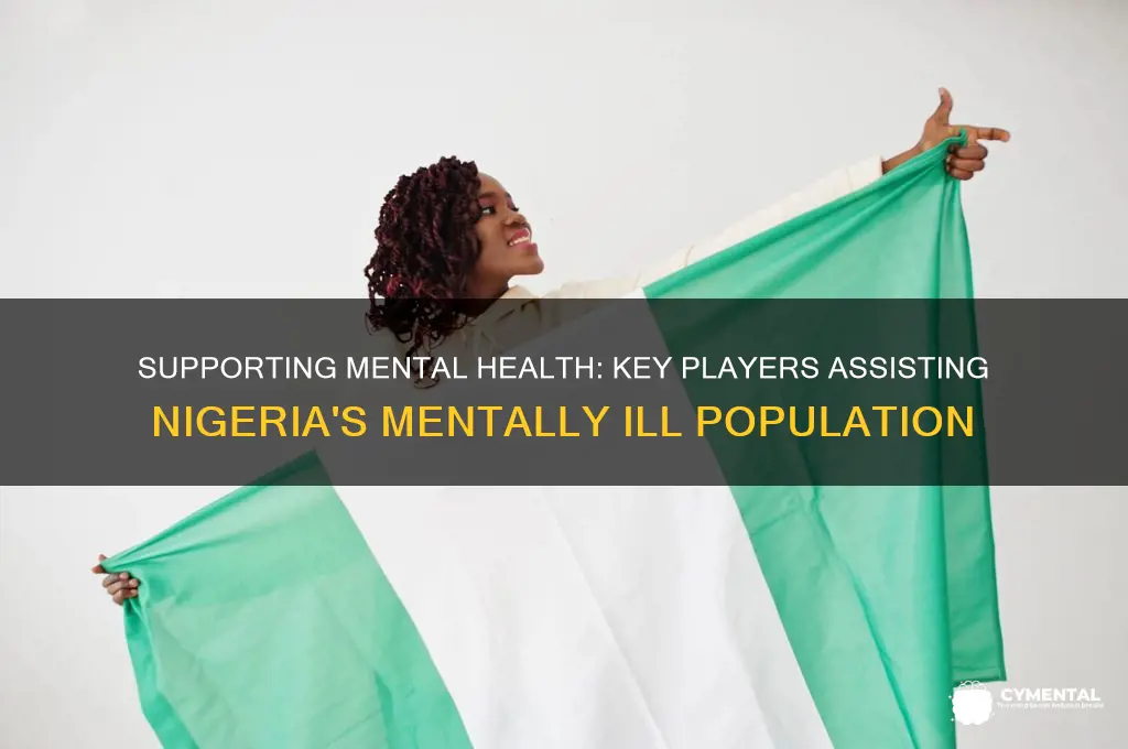 who is helping the mentally ill in nigeria