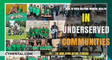 Bridging Gaps: Mental Health Champions in Underserved Communities
